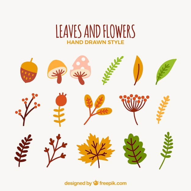 Fun variety of autumnal leaves and flowers