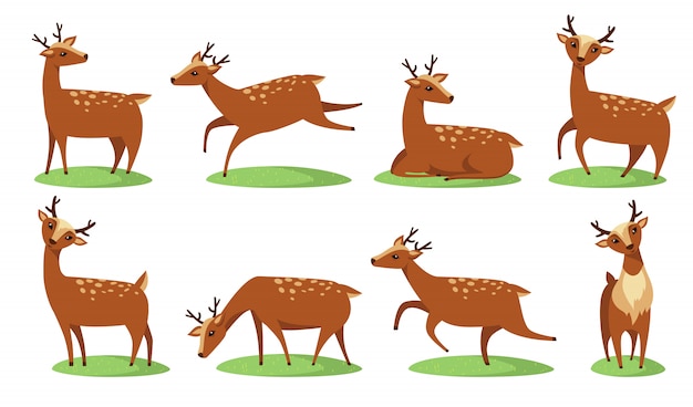 Free Vector funny baby deer set