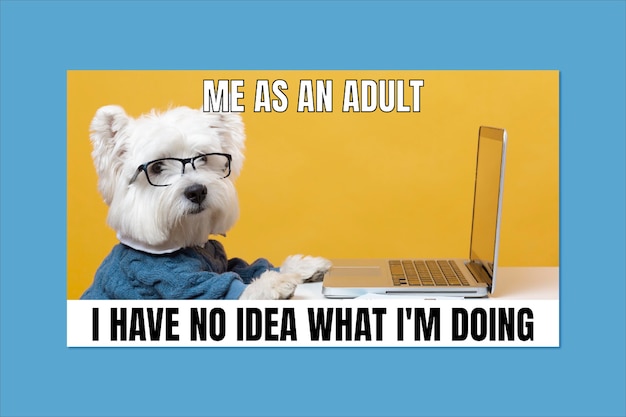 Funny being an adult meme