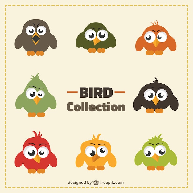 Funny bird collection