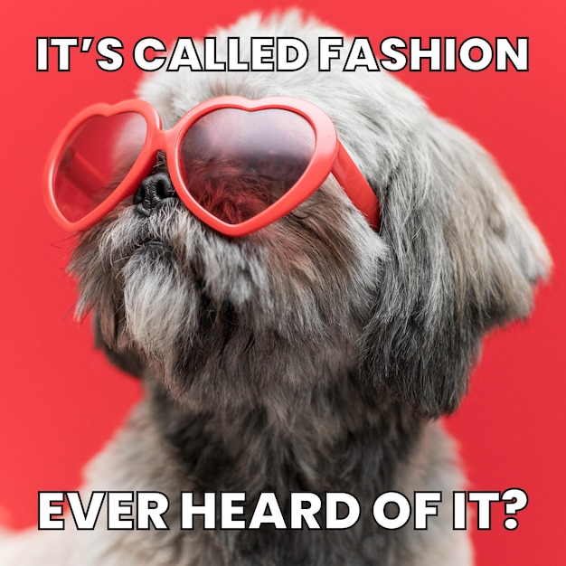 Funny call it fashion meme