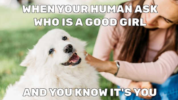 Funny good girl meme