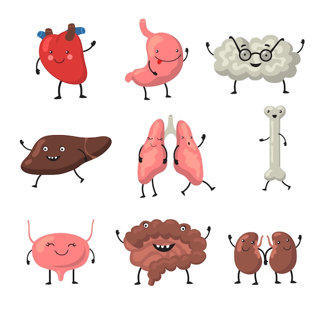 Funny human organs set