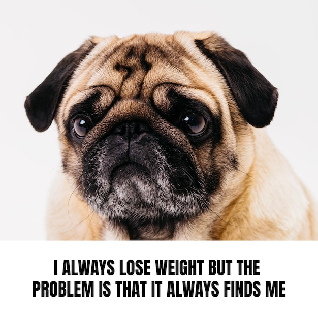 Free Vector funny losing weight meme