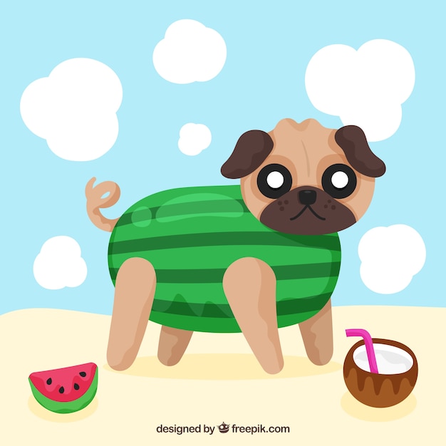 Free vector funny pug with variety of fruit