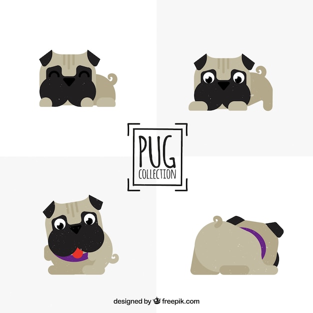 Free vector funny pugs with lovely style