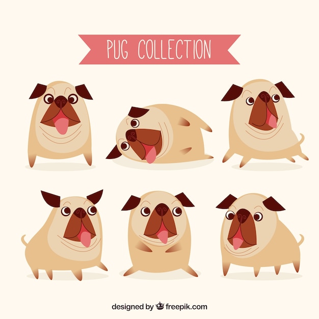 Free Vector funny pugs with original style