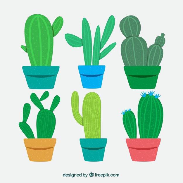 Funny variety of classic cactus