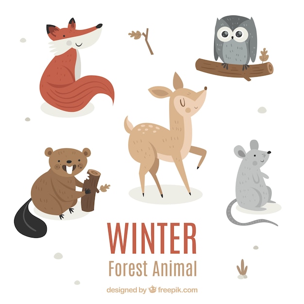 Funny winter animal collection