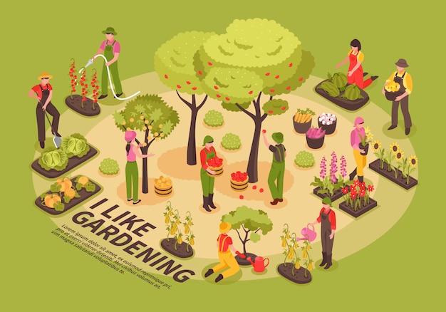 Free Vector gardening isometric infographics