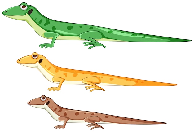 Geckos or lizards in different color cartoon style isolated