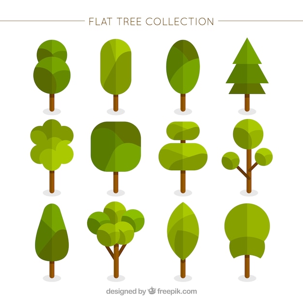 Geometric trees in flat style