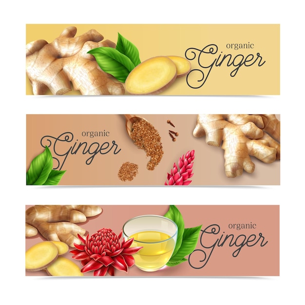 Free Vector ginger tea realistic horizontal banners