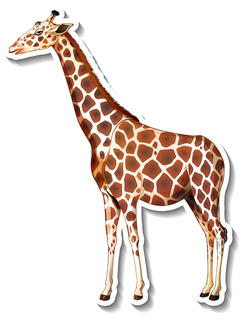 Giraffe animal cartoon sticker