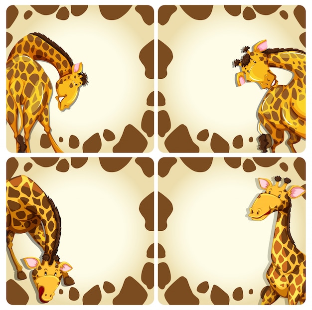 Free Vector giraffe