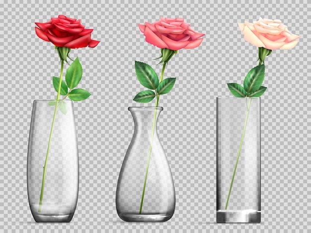 Free Vector glass vase with rose transparent set