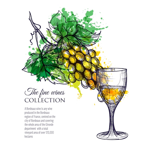 Free Vector glass of white wine with branch grapes