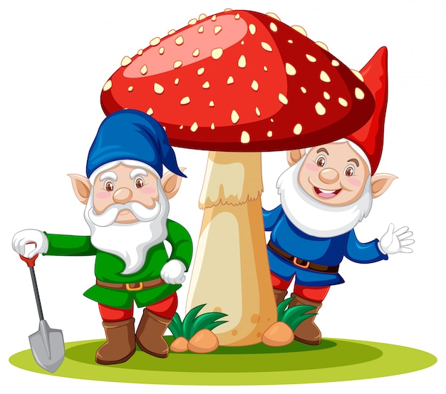 Gnomes standing with mushroom cartoon character on white background