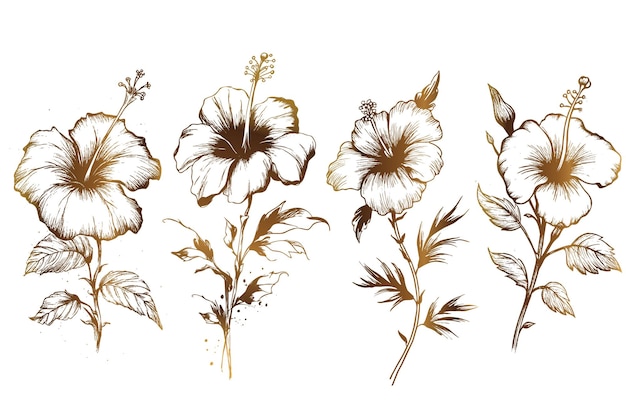 Free Vector gold hand drawn sketch hibiscus flower collection