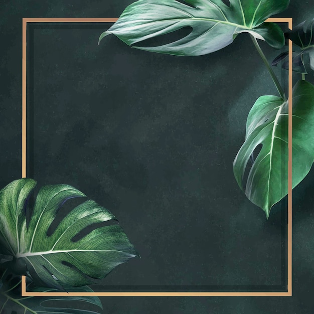 Golden square monstera leaves frame design resource