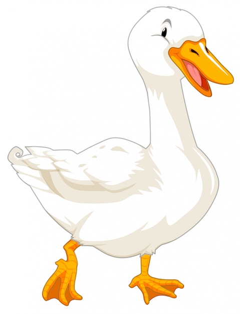 Goose on white background