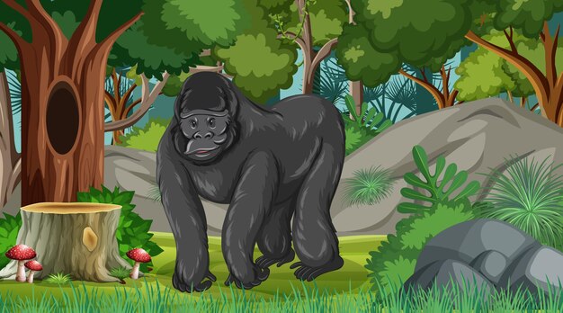 Gorilla in forest or rainforest scene with many trees