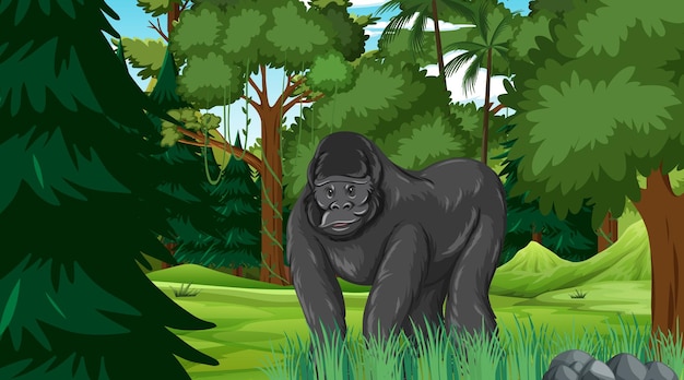 Gorilla in forest or rainforest scene with many trees