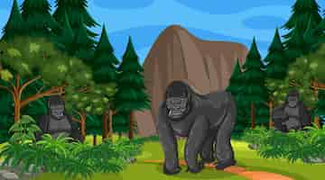 Free vector gorilla group lives in forest or rainforest scene with many trees