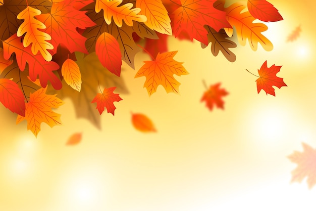 Gradient autumn leaves background