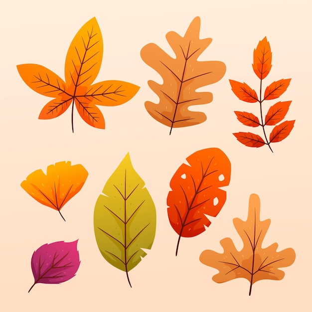 Gradient autumn leaves collection