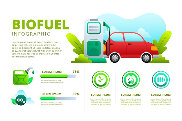 Gradient biofuel infographic