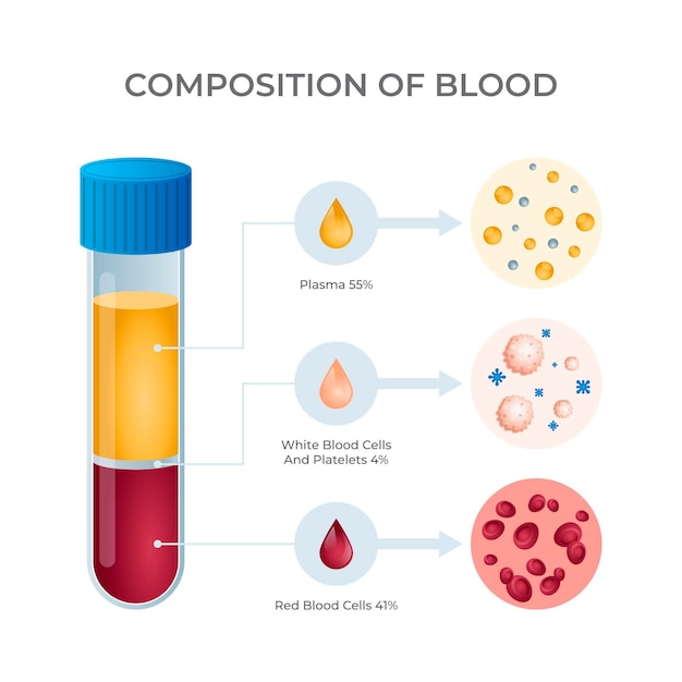 Gradient blood infographic