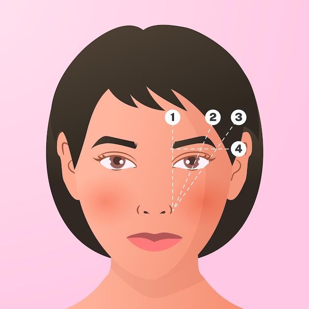 Free Vector gradient brow mapping illustration