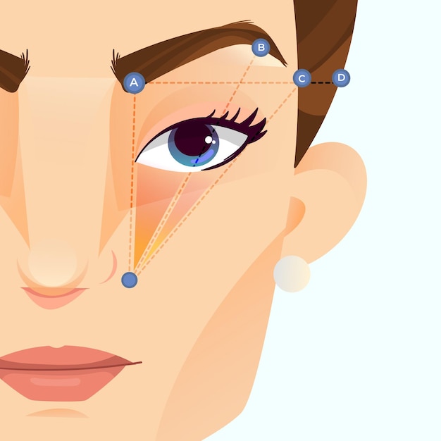 Free Vector gradient brow mapping illustration