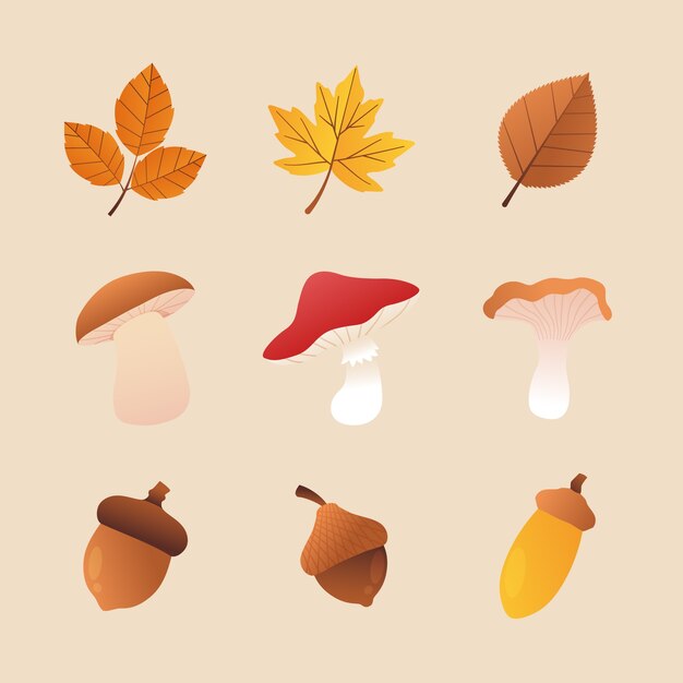 Gradient elements collection for autumn celebration