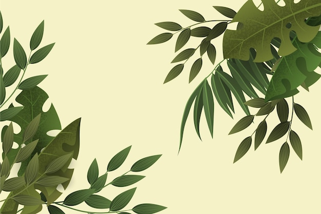 Free Vector gradient green leaves zoom background