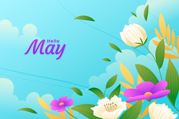 Free vector gradient hello may background