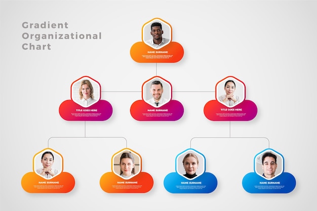 Gradient organizational chart infographic with photo