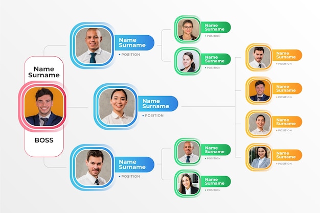 Gradient organizational chart infographic with photo