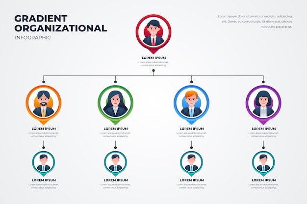 Gradient organizational chart infographic