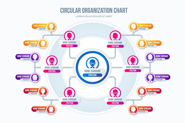 Gradient organizational  chart ivnfographic