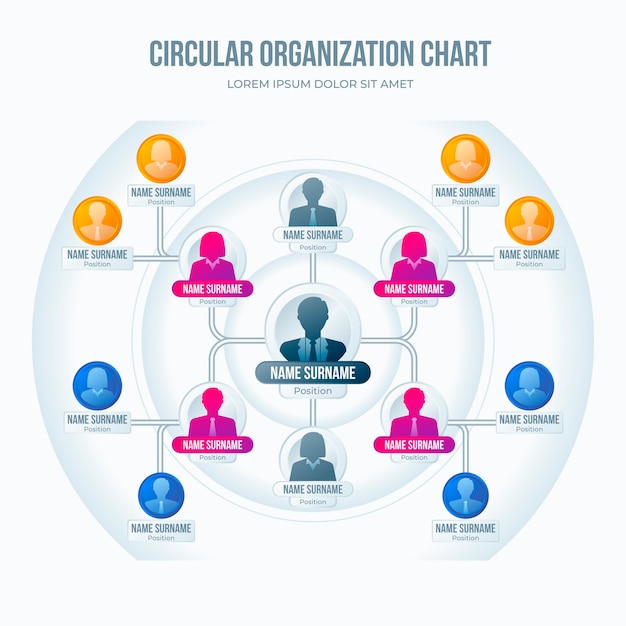 Gradient organizational  chart ivnfographic