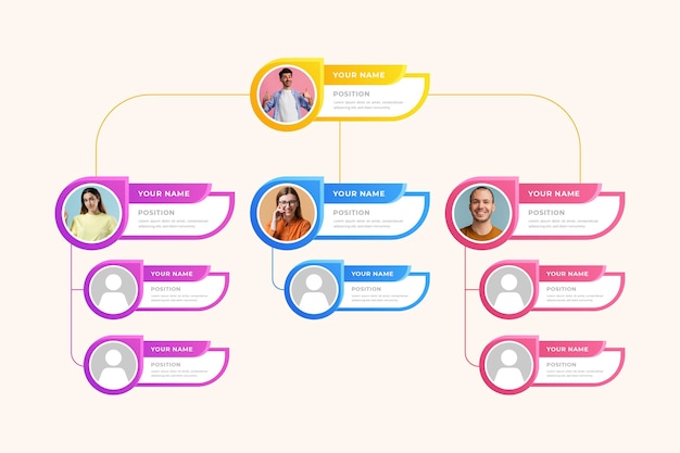 Gradient organizational chart