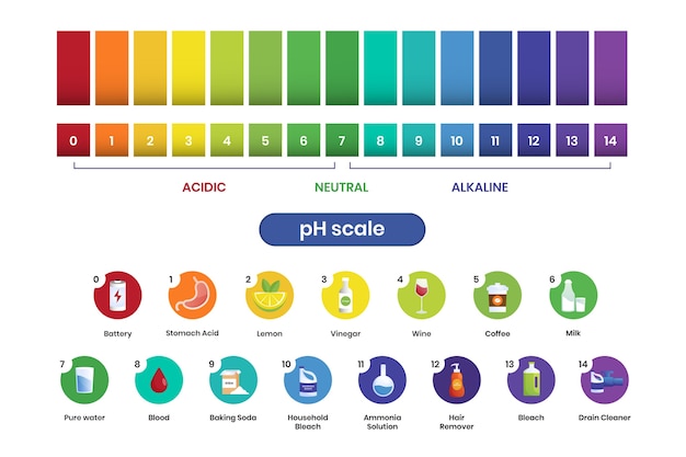 Free Vector gradient ph scale infographic