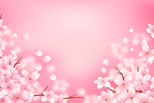 Gradient sakura flower copy space background