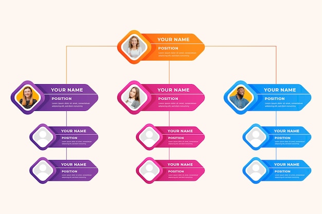 Gradient style organizational chart