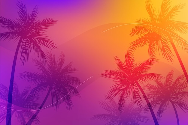 Gradient summer background for videocalls