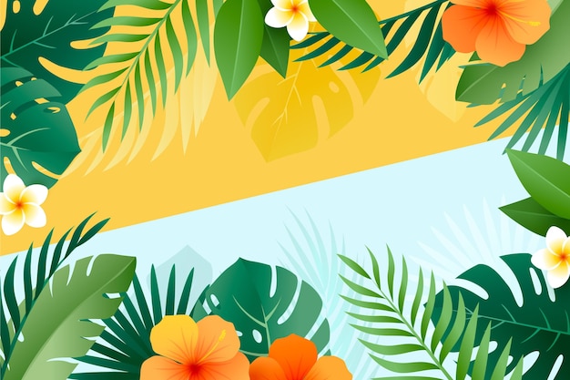 Gradient summer background for videocalls