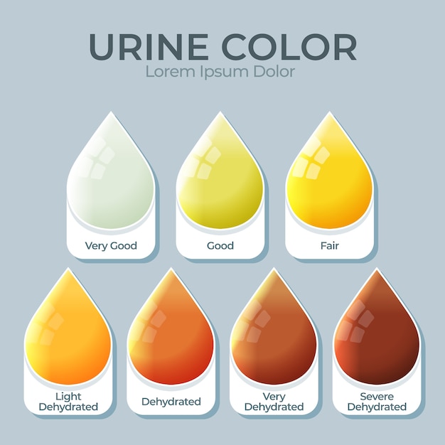 Gradient urine color infographic