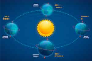 Free vector gradient winter solstice infographic template